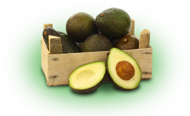 avocado